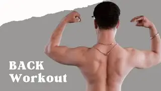 Back Workout for Beginners | Gym Training Guide