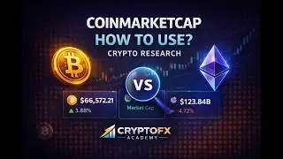 How to Use CoinMarketCap | Complete Crypto Research Guide for Beginners