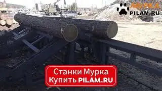 Мурка двухвальный бревнопильный станок Алтай-3 Триумф 16П480 Classic купить pilam.ru