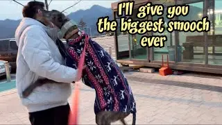 Greyhound and Daddy's Heartwarming Reunion After 3 Minutes Apart(feat. Reaction to Mom)