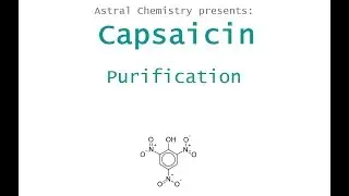 Capsaicin purification