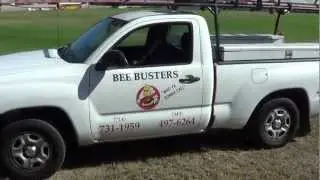 Bee Removal in Midway City, Orange County, Ca