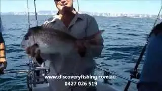 Gold Coast Fishing Charters