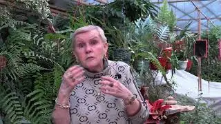 Новый канал.