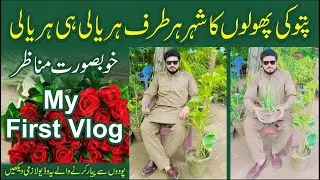 PattoKi The City Of Flowers II My First Vlog II Muhammad Bilal Asghar
