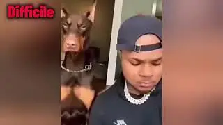 Essaye de ne pas rire facile,moyen,difficile 😂😂