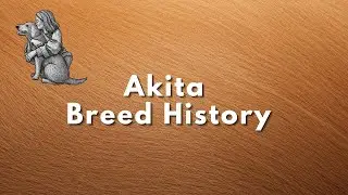Akita   Breed History