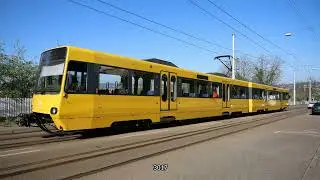 Stuttgart (Stadtbahn; Stuttgarter Stra&szlig;enbahnen (SSB) (DT 8.1-9 series)) (20250405) (Slide show)