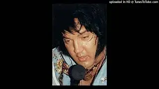 Elvis AI Cover I'm all fucked Up
