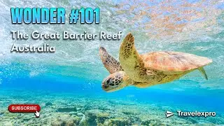 Wonder 101 | Great Barrier Reef: The World&rsquo;s Largest Coral Wonder! 🌊