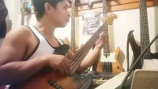 Nearness of You - Dianne Reeves (Version) Bass Cover