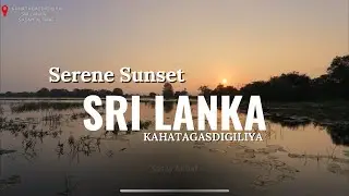 Golden Sunset Over Sri Lankan Wetlands | Peaceful Nature View