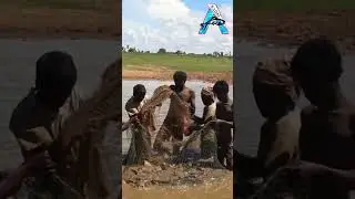Mud Water Fishing #fishing #seafishing #mudwaterfishing #youtubeshorts @FISH_TV
