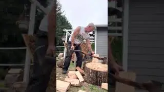 Single bit or double bit axe?