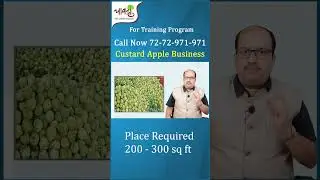 Start your own custard apple processing business #custard#custardapple#fruitpulp#farmer#business