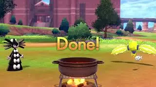 Pok&eacute;mon Shield curry 2 (& Wishiwashi)