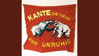 Die Tiere Sind Unruhig