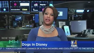 Disney Hotels To Start Accepting Dogs