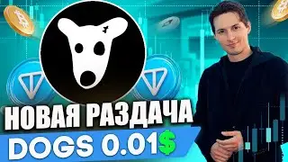 НАЧАЛО РАЛЛИ DOGS 0.01$ СЛУЧИЛОСЬ? - РАЗДАЧА ОТ РАЗРАБОТЧИКОВ DOGS