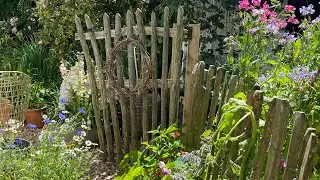 Sowing sweet peas , garden centre cooking , wild swims and pottering in my cottage Cornish garden 🌱