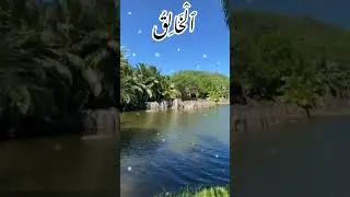 Salam 💕 #areebasbucket95 #youtube #youtubeshorts #shorts #shortsfeed #shortsvideo #islamicstatus