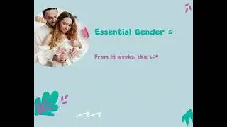 Your Gender Scan Options at Imaginatal