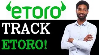 How To Track Etoro Openbook (2025)