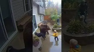 Funny animals and bay #animals #funny #wildliferescue #shorts #shortsfeed