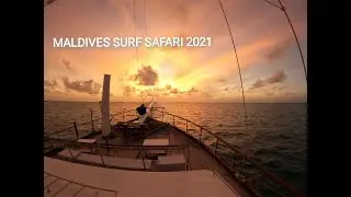 Mr Brights, surf Safari's Maldives 2021