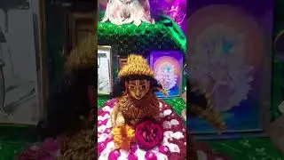 Swami Shivdatt prapnnachary ji Shree devraha baba yog niketan vrindavan mathura