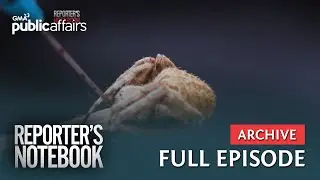 Online sabong ng gagamba, umaboot ng daang libo ang taya?! (Full Episode) | Reporter's Notebook