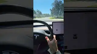 Tesla Cruise Control- How to use it.