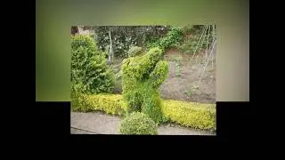 Gardens of Dunholme Lodge