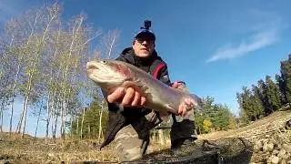 LAGHI TERRE ROSSE : ANDIAMO A PESCA DI TROTE GIGANTI