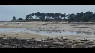 l'anse de tr&eacute;hennarvour &agrave; Saint philibert