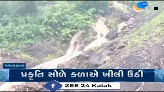 Monsoon 2024: After long dry spell, parts of Panchmahal receive heavy rainfall; nature glows