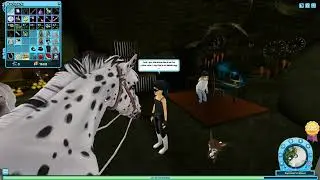 Secret squirrel message In star stable online.