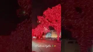 Christmas lights at streets #christmas #music #merrychristmas #youtube #dallas