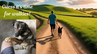 Romanian rescue dog enjoying his walkies.