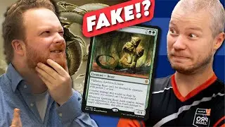 Do You Know Magic!? | Frank Karsten