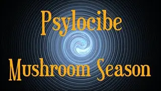 Psylocibe - Mushroom Season - 🍄 Dark Prog / Zenonesque Mix 🍄 - Psychedelic Video