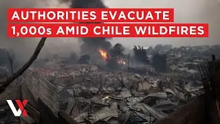 LIVE | Authorities Evacuate Thousands As Wildfires Rage In Chile&rsquo;s Biob&iacute;o Region | VERTEX