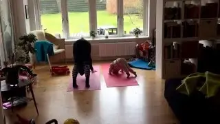 My own personal trainer. Augusta 19 months!