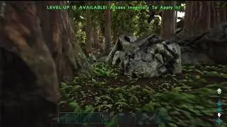PlayAllTheThings Short - DON'T BUILD IN THE REDWOODS.