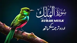 Surah Mulk With Urdu Translation | Heart Touching Tilawat