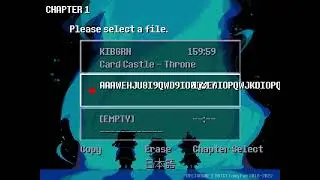 the hell is wrong with my deltarune save file