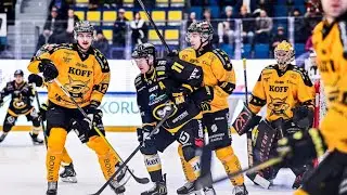 SaiPan maalit K&auml;rp&auml;t-peliss&auml;