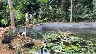 Treat newly built cement ponds before stocking fish with banana trees
