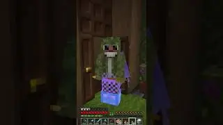 Bdubs gotta avoid that door next time (hermitcraft 9)