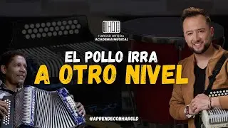 Contento y enamorado - El pollo Irra (Análisis acordeón)